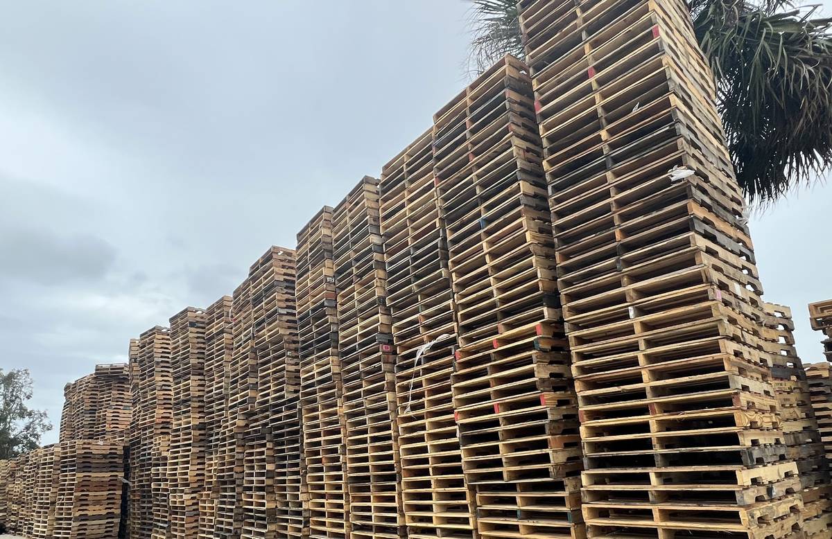 Massive Florida pallet supplier yard with thousands of pallets and palm trees